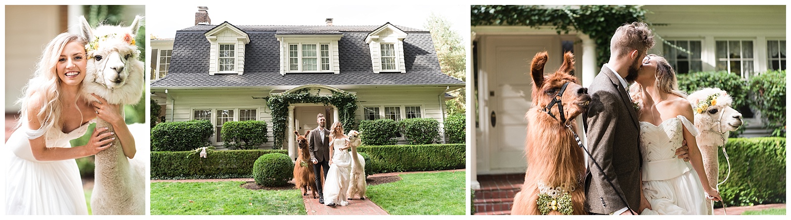 A Gray Gables Estate Wedding Styled Shoot in Portland 17.jpg