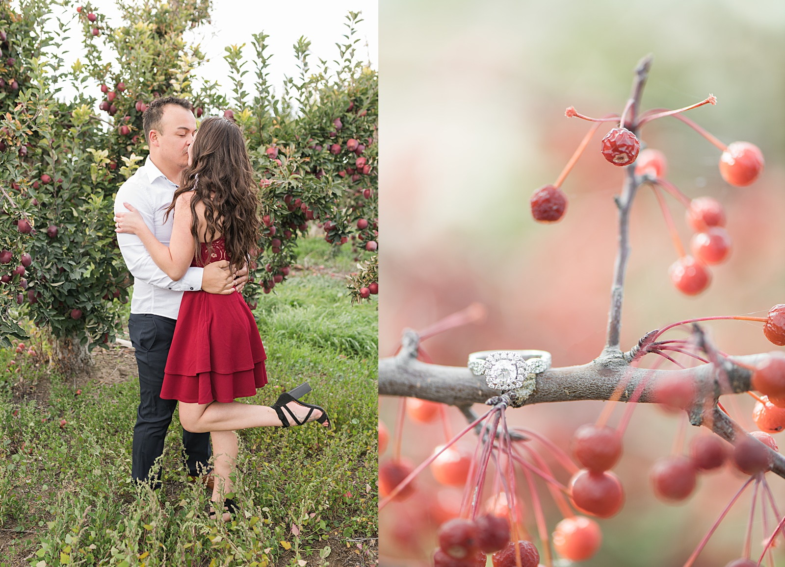  A Ste. Chapelle Winery Engagement Session-21.jpg