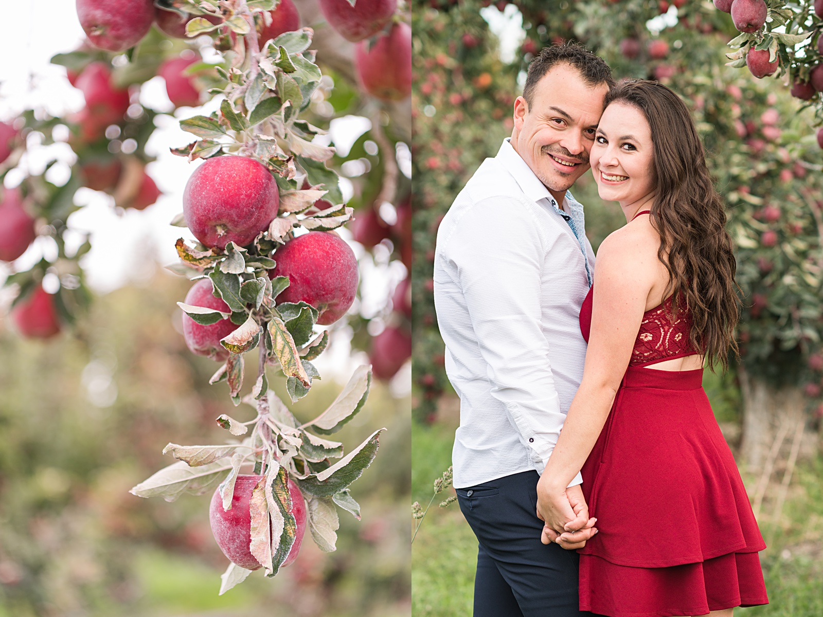  A Ste. Chapelle Winery Engagement Session-3.jpg